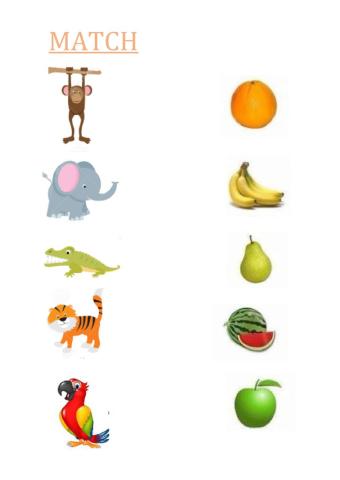 Animal- fruit