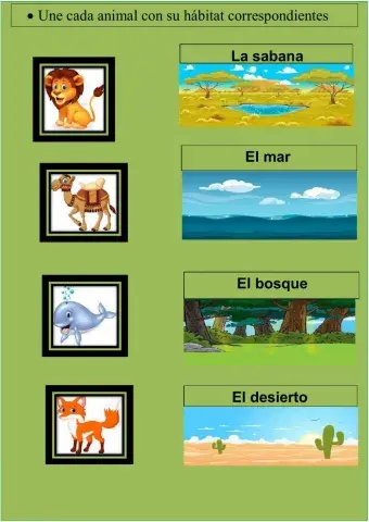 Hábitat de los animales