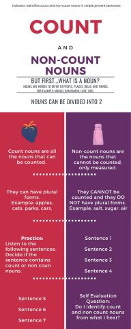 Count and noncount nouns