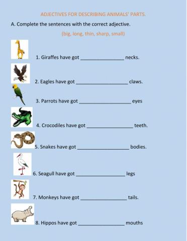 Adjetives for describing animals