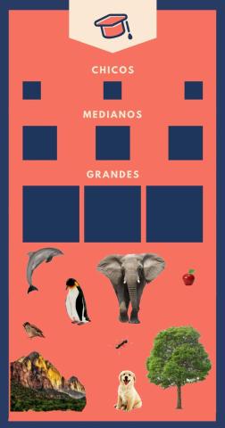 Chico, Mediano, Grande