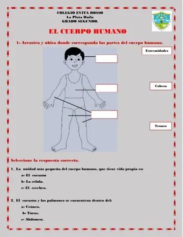 Partes del cuerpo humano