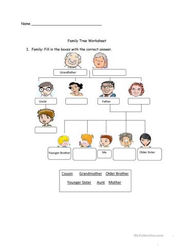 Family vocabulary