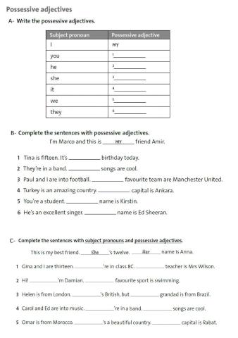 Possessive Adjectives (vs. Subject Pronouns)