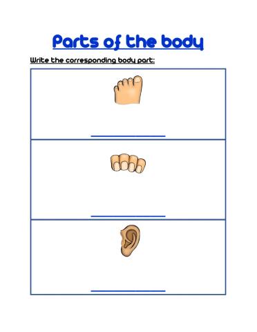 Parts of the body