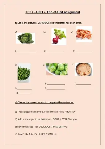 KET 2 UNIT 4 End-of-Unit Assignment