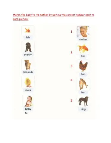 Match the baby with the mother