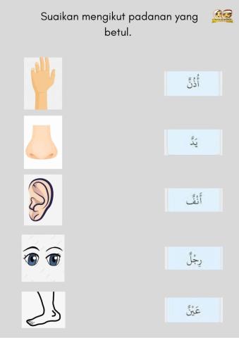 Bahasa Arab : anggota badan