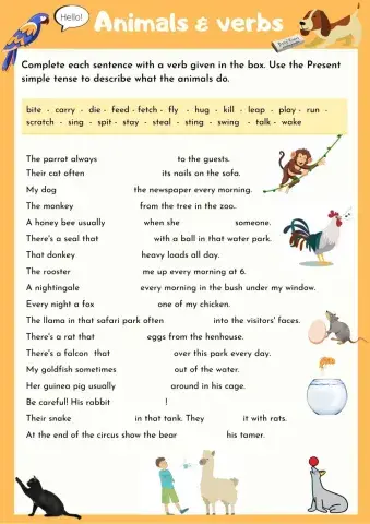 Animals & verbs