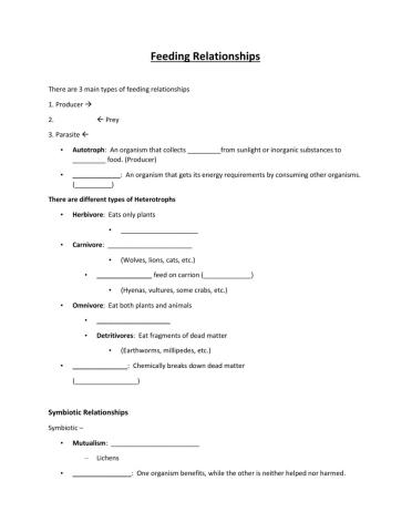Feeding Relationships