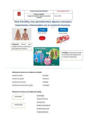 Conceptos básicos de anatomía