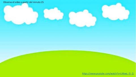 ¿cómo cambian los animales?