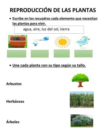 Reproducción de la plantas