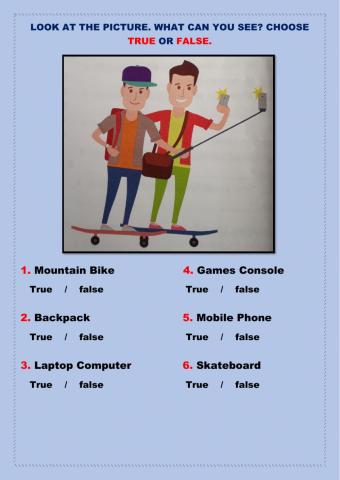 Look and choose true or false