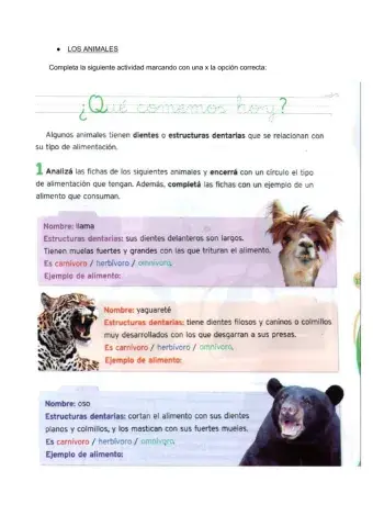 La alimentación de los animales