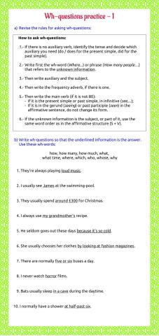 Wh- questions practice 1