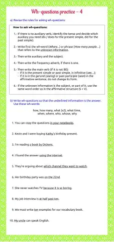 Wh- questions practice 4