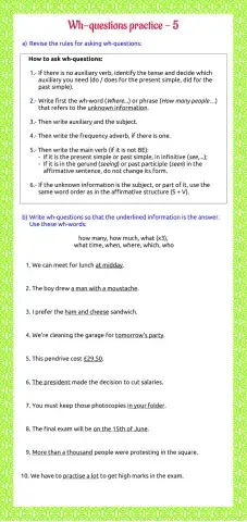 Wh- questions practice 5