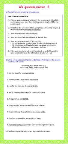 Wh- questions practice 5