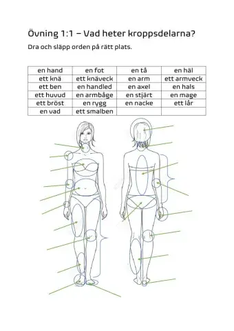 1:1 Vad heter kroppsdelarna?