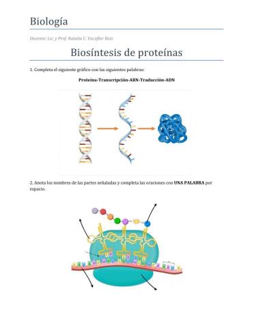 Síntesis de proteínas