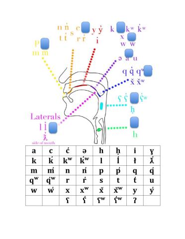 Orthography Drag & Drop