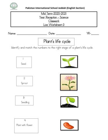Live worksheet Day 2