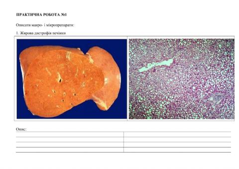 Патоморфологія