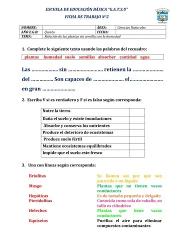 Relacioón de plantas sin semilla