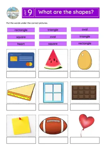 What are the shapes?