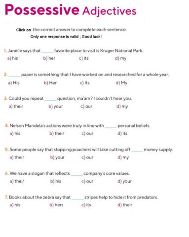 Possessive Adjectives worksheet