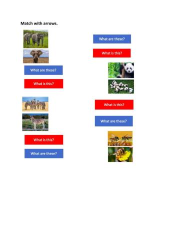 What are these? What is this? Match