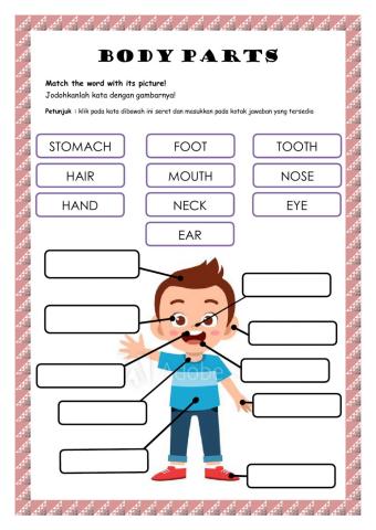 Body Parts