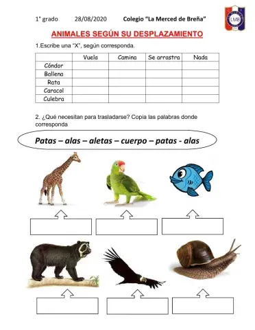 Desplazamiento animals