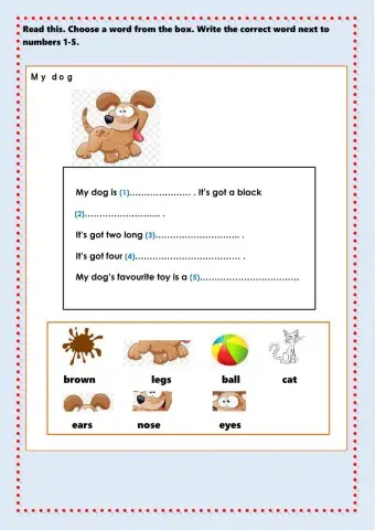 Read and choose a word from the box.