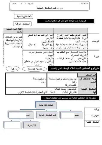 ورقة 2تفاعلية3