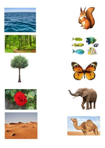 اماكن عيش الحيوانات