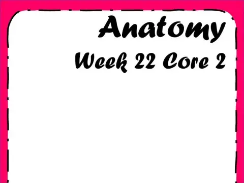 Anatomy - Bones - Week 22