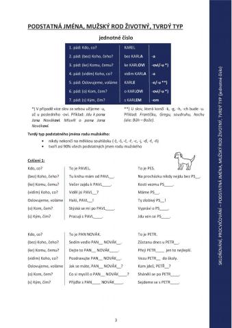 České skloňování - M živ., tvrdý typ