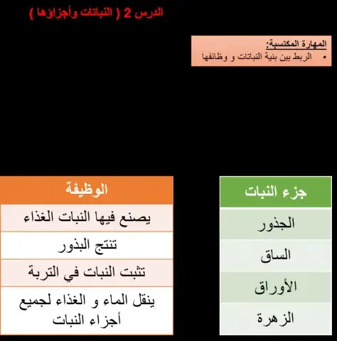 وظيفة أجزاء النبات