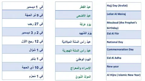 UAE National Holidays Med