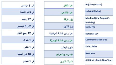 UAE National Holidays Med