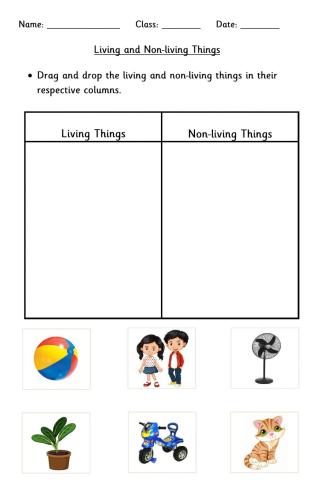 Living and Non-living things