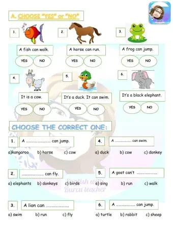 Grade 2-Unit 10 can-can't