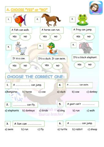 Grade 2-Unit 10 can-can't