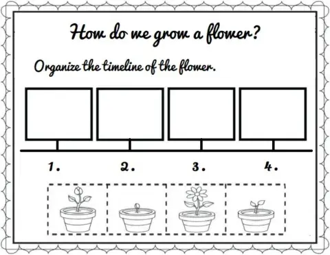 How do we grow a flower?