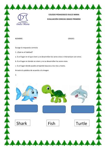 Evolución de ciencias