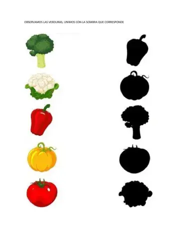 Verduras y su sombra