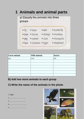 Animals and animals classification