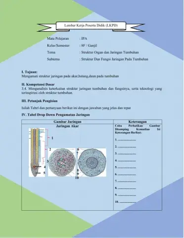 LKPD Struktur & Fungsi Jaringan Tumbuhan